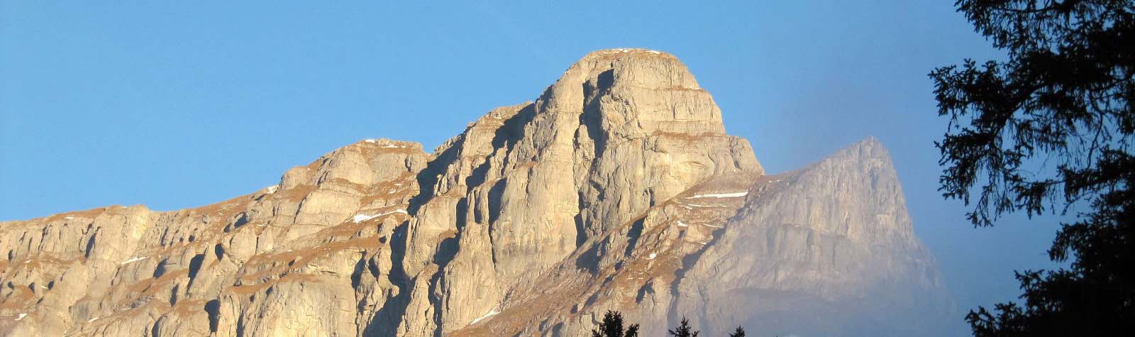 home_header image6